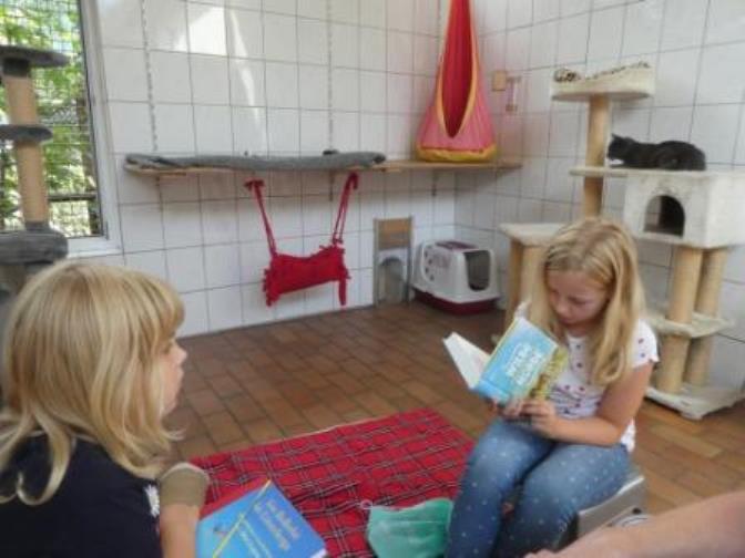 Kinder lesen Katzen vor Kinder lesen Katzen vor