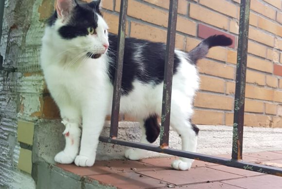 Marlon aus Gifhorn Marlon aus Gifhorn