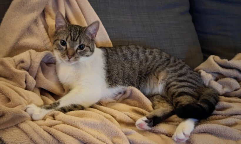 Lana und Nala, 10 Monate