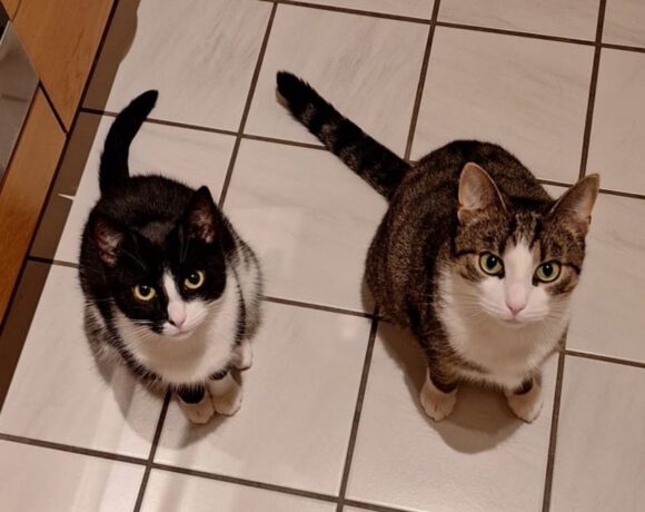 Rocky & Mona