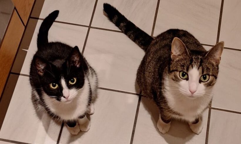 Rocky & Mona