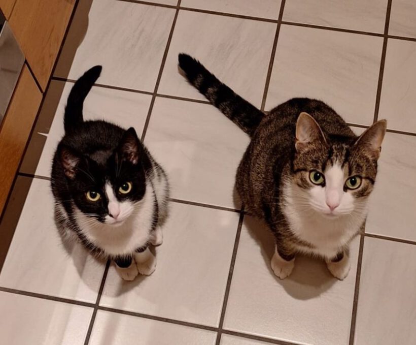 Rocky & Mona