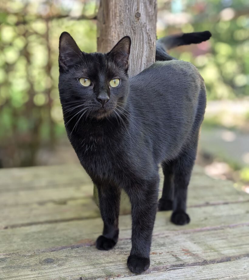 Lilli, ca. 2 Jahre