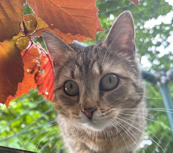 Sunny, ca. 2 Jahre