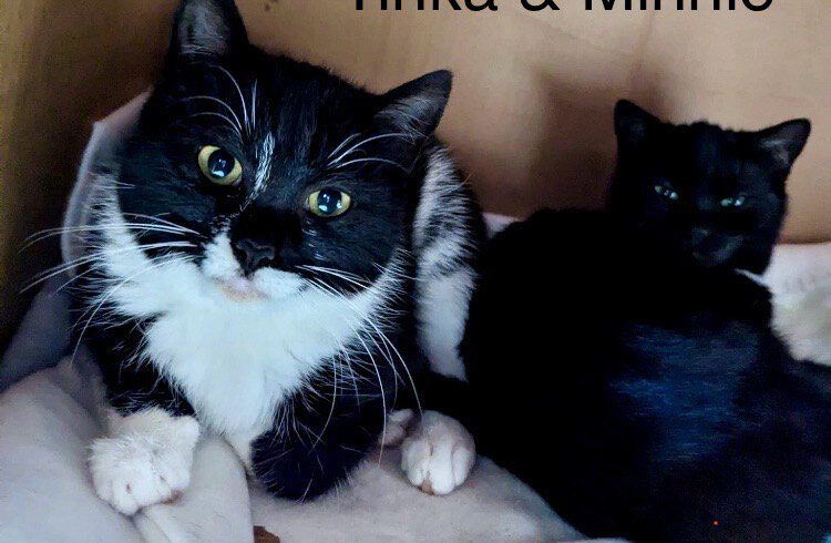 Minnie & Tinka, ca. 1 Jahr