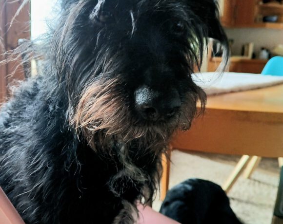 Krümel