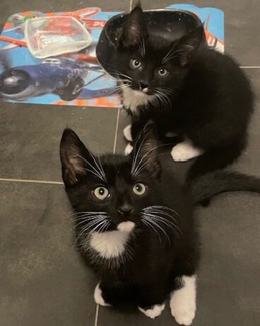 Tom & James