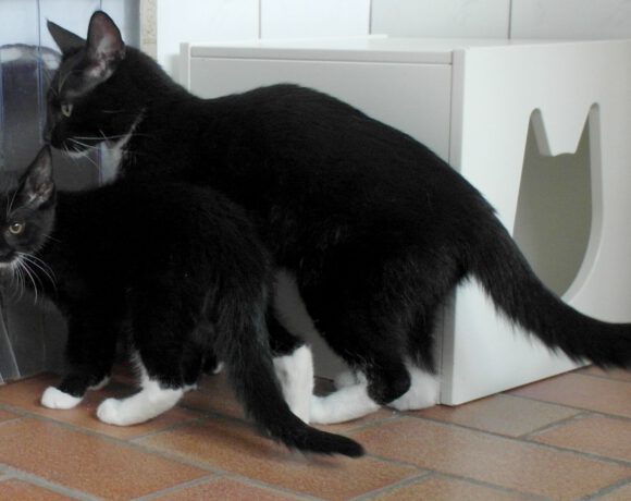 Zoe & Mina