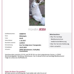 Jessi in Wienhausen vermisst Jessi in Wienhausen vermisst