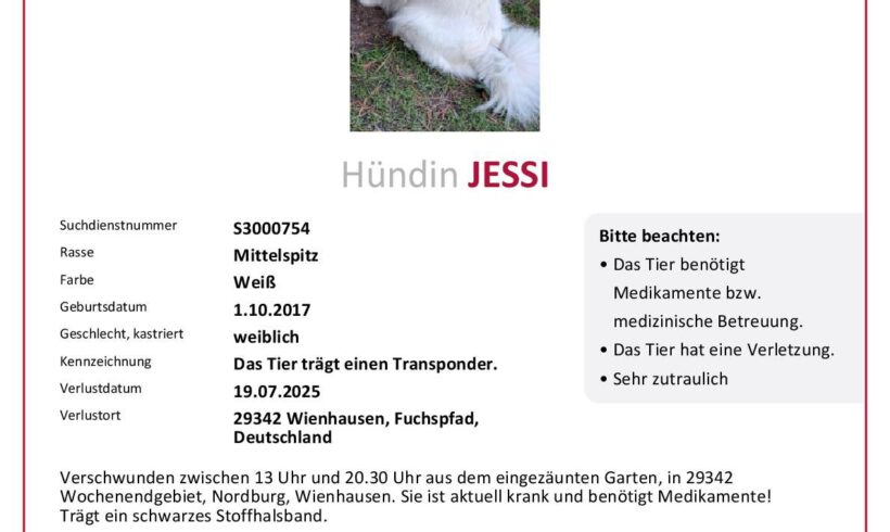 Jessi in Wienhausen vermisst