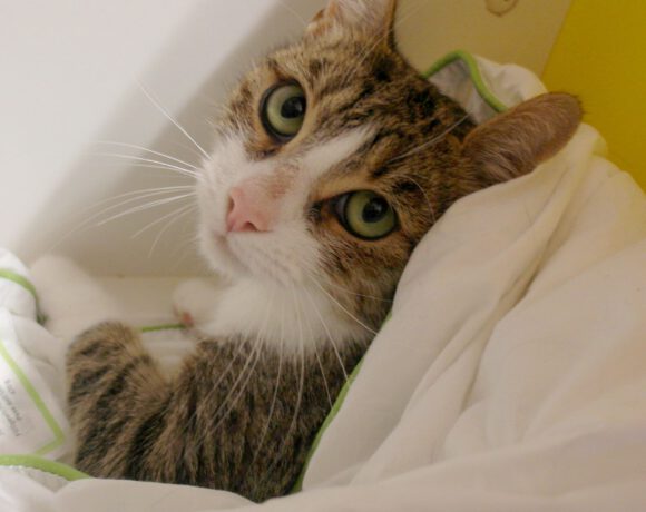 Nepomuk, 2-3 Jahre