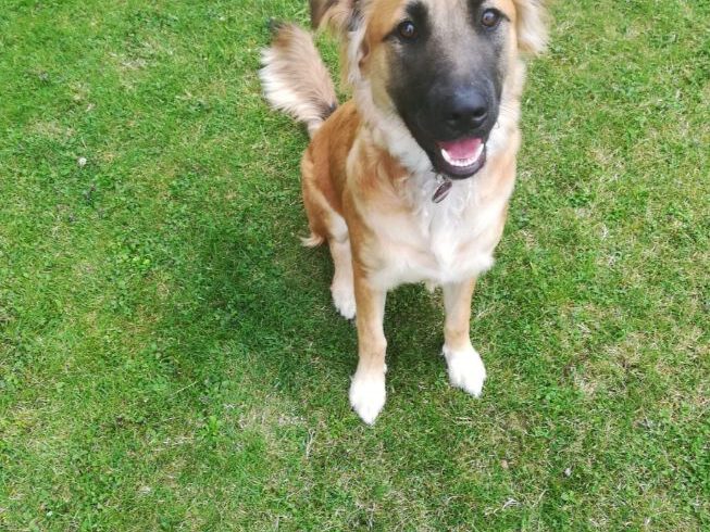 Hannah 6 Jahre