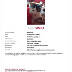 Simba in Neudorf-Platendorf vermisst Simba in Neudorf-Platendorf vermisst