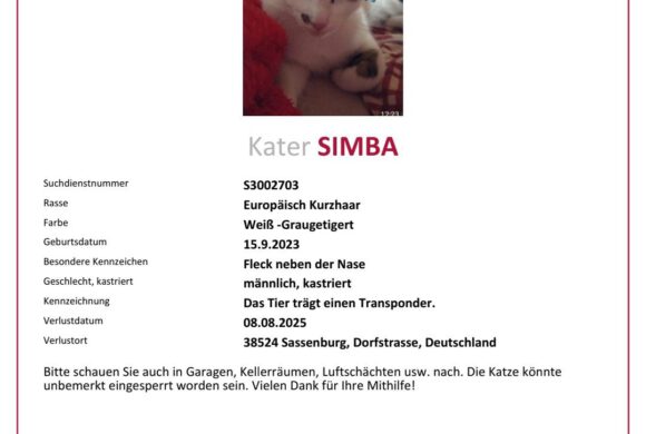 Simba in Neudorf-Platendorf vermisst