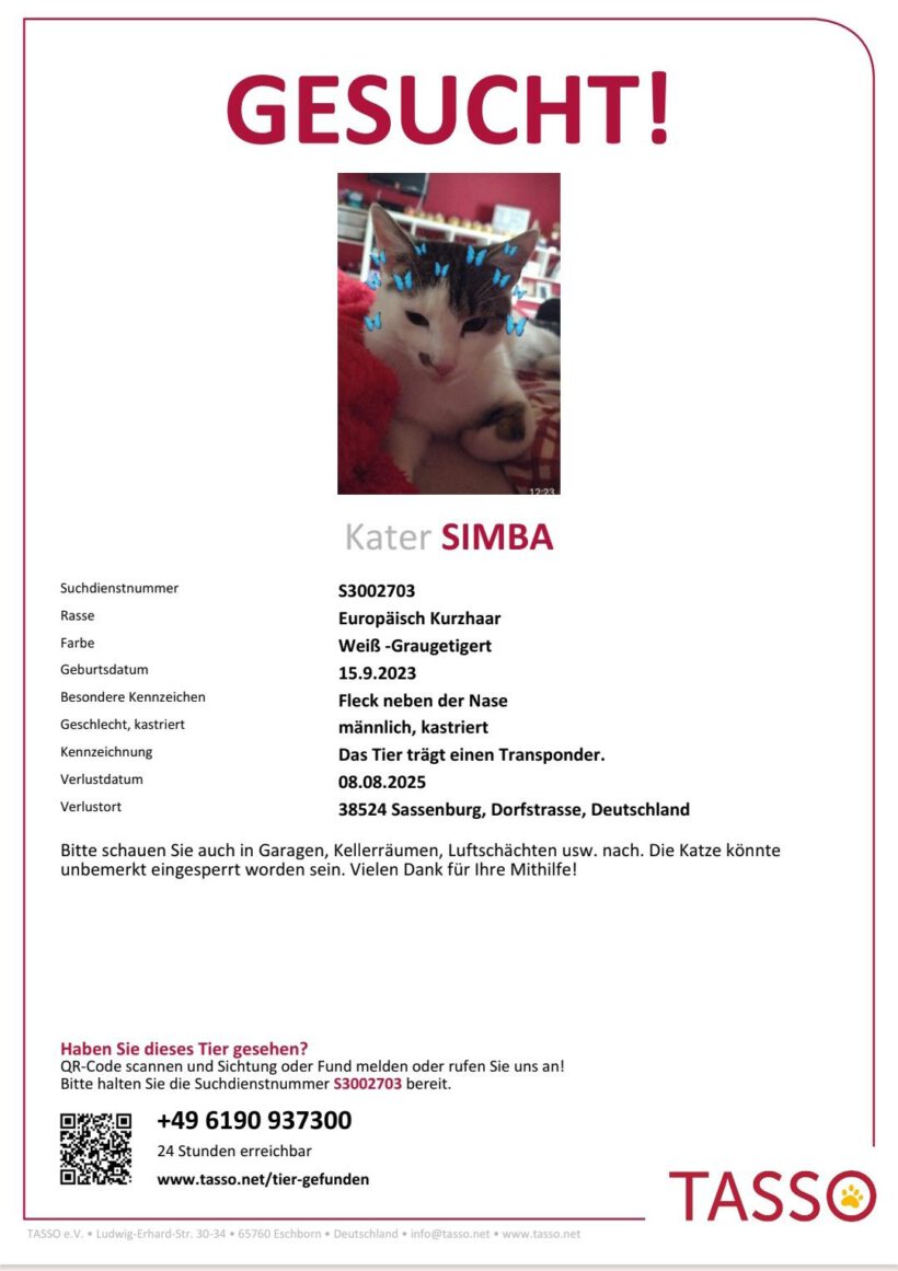 Simba in Neudorf-Platendorf vermisst
