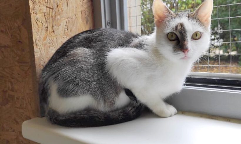 Hina, ca. 3 Jahre