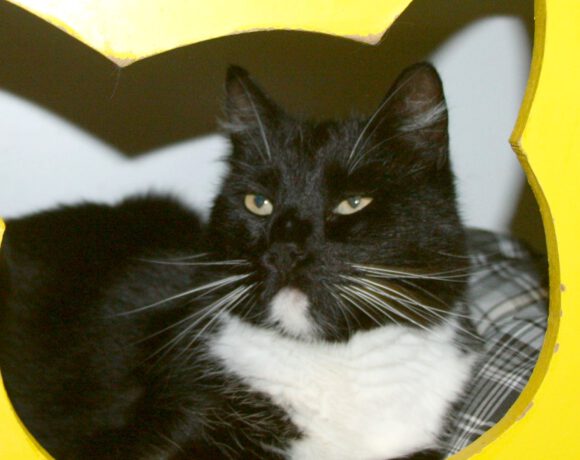 Miri, 6-8 Jahre