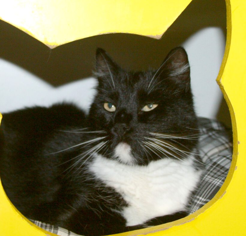 Miri, 6-8 Jahre