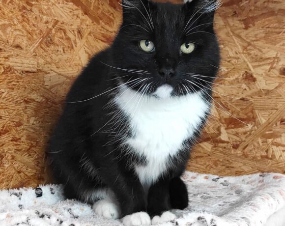 Miri, 6-8 Jahre