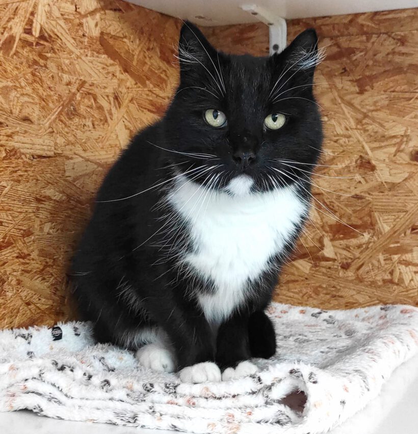 Miri, 6-8 Jahre Miri, 6-8 Jahre