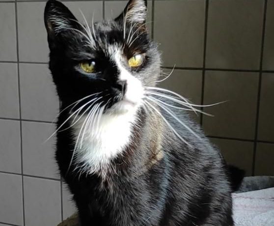 Arme Socke, Ü10 Jahre