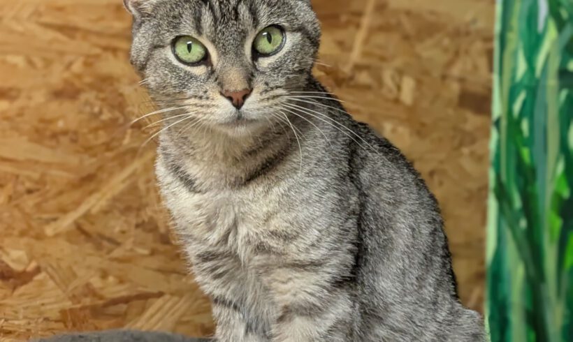 Zara, ca. 2 Jahre