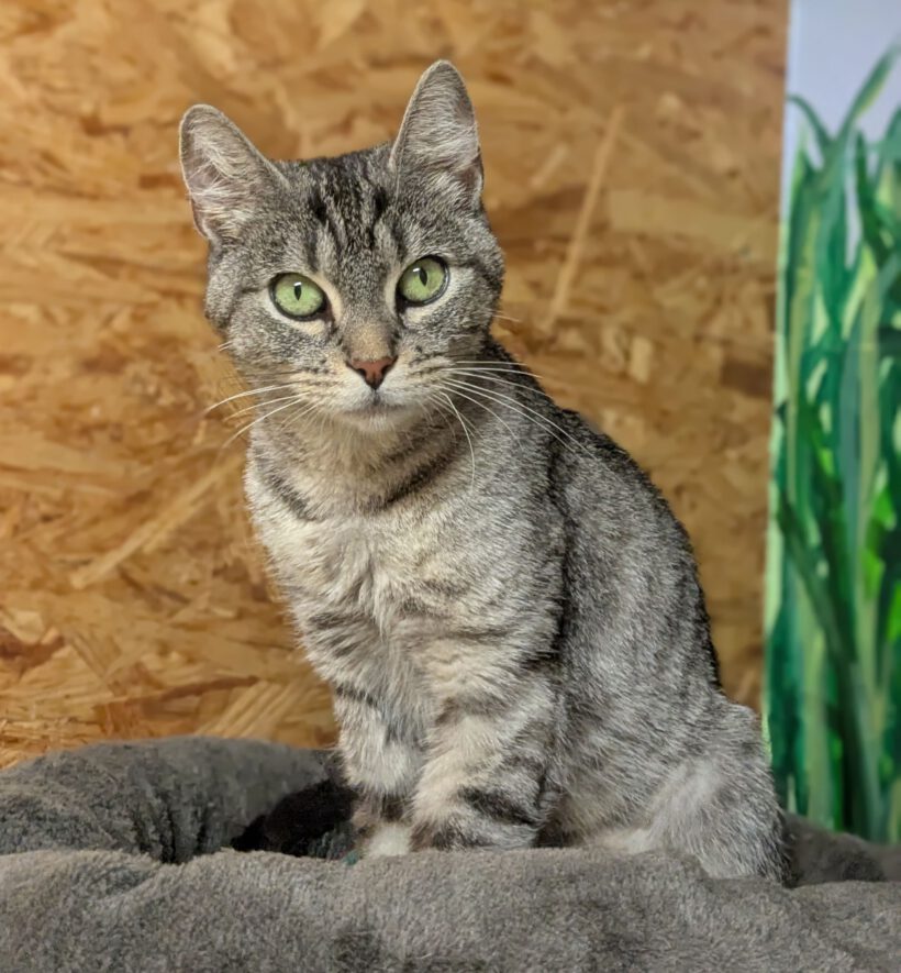 Zara, ca. 2 Jahre