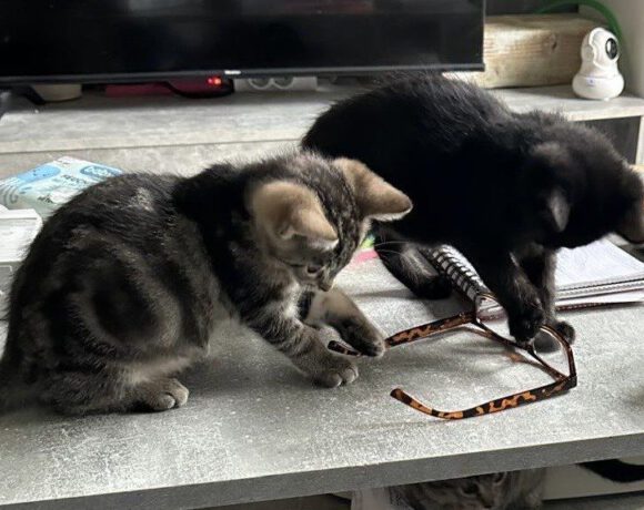 Crowley, Raudi & Lilith