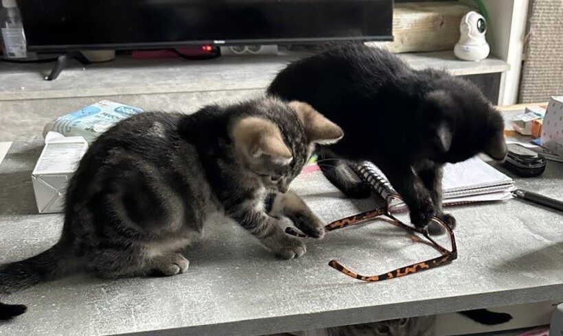 Crowley, Raudi & Lilith