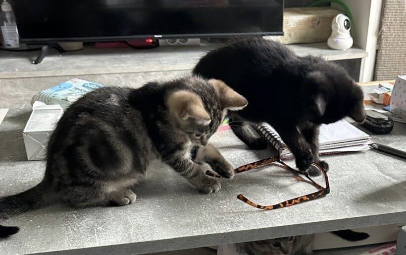 Crowley, Raudi & Lilith