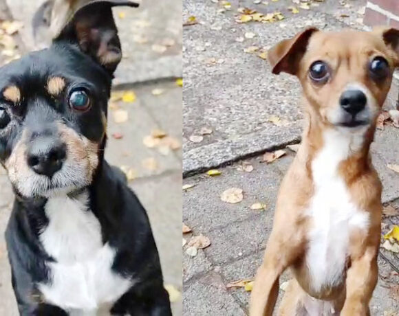 Mali & Molly Mali & Molly