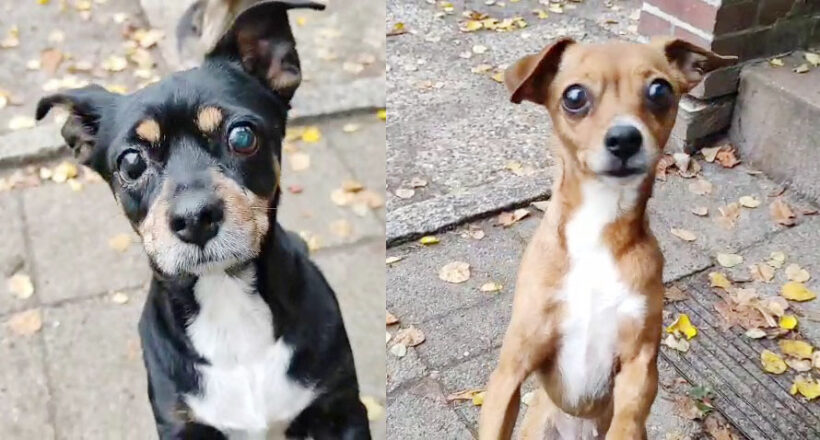 Mali & Molly Mali & Molly