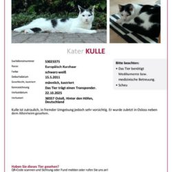 Kulle in Osloß vermisst