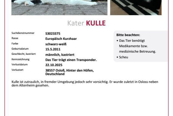 Kulle in Osloß vermisst Kulle in Osloß vermisst