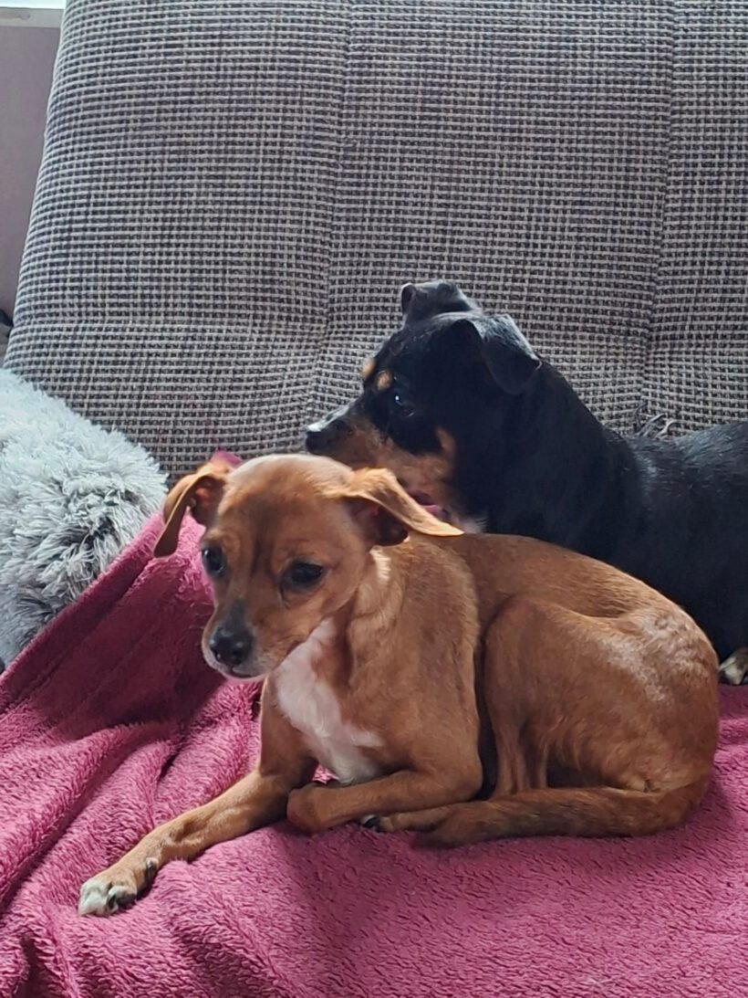 Mali & Molly Mali & Molly