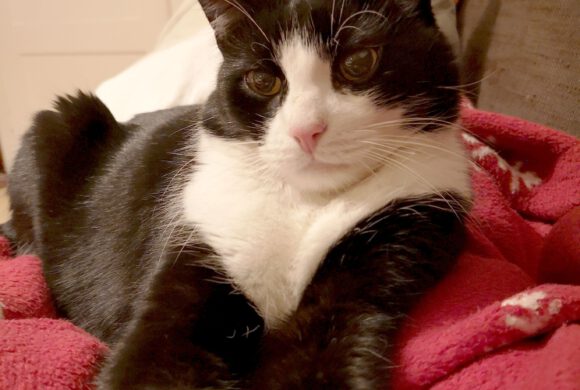 Felix in Grußendorf vermisst