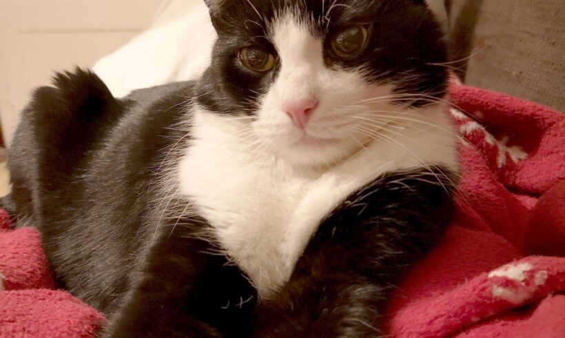 Felix in Grußendorf vermisst