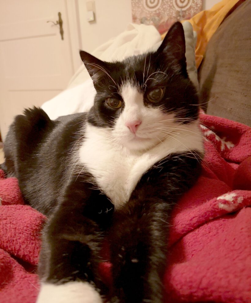 Felix in Grußendorf vermisst