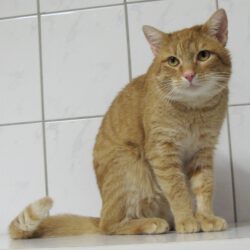 Möhrchen, ca. 5 Jahre