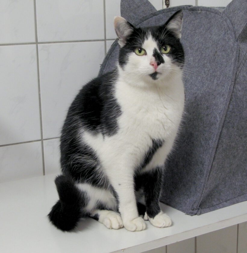 Yari, ca. 3 Jahre Yari, ca. 3 Jahre