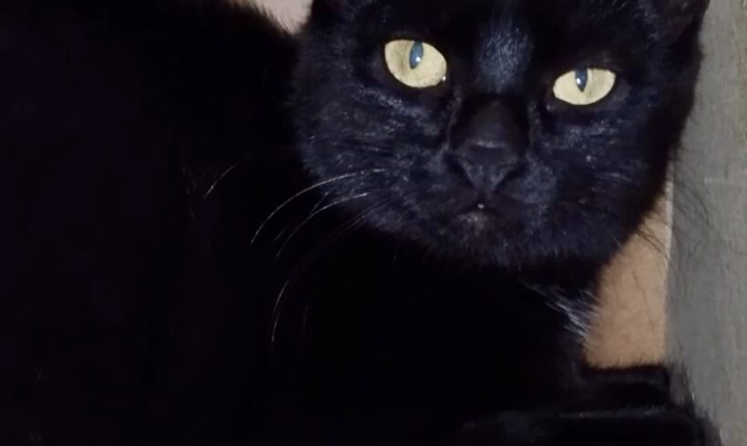 Savannah, ca. 1,5 Jahre