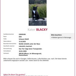 Blacky in Gifhorn vermisst Blacky in Gifhorn vermisst