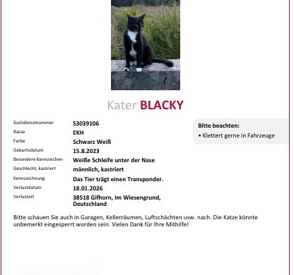 Blacky in Gifhorn vermisst