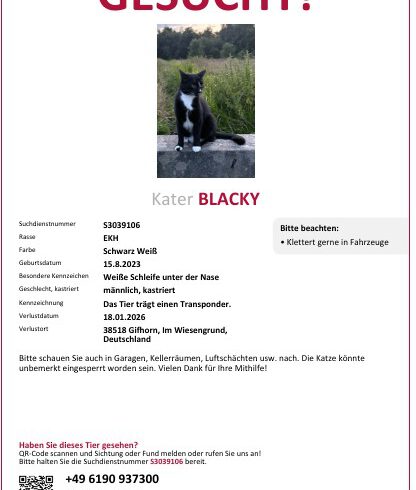 Blacky in Gifhorn vermisst