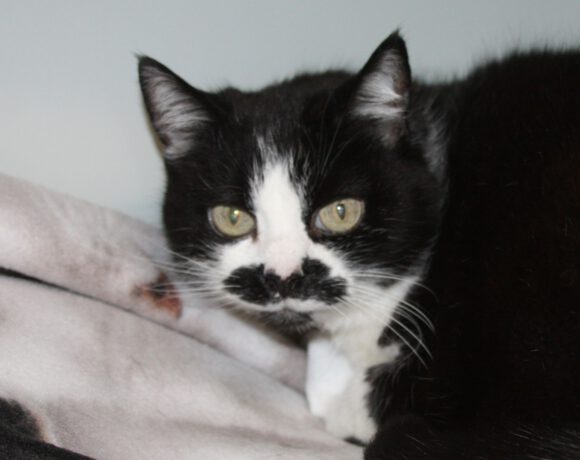 Kaisha, 18 Jahre Kaisha, 18 Jahre