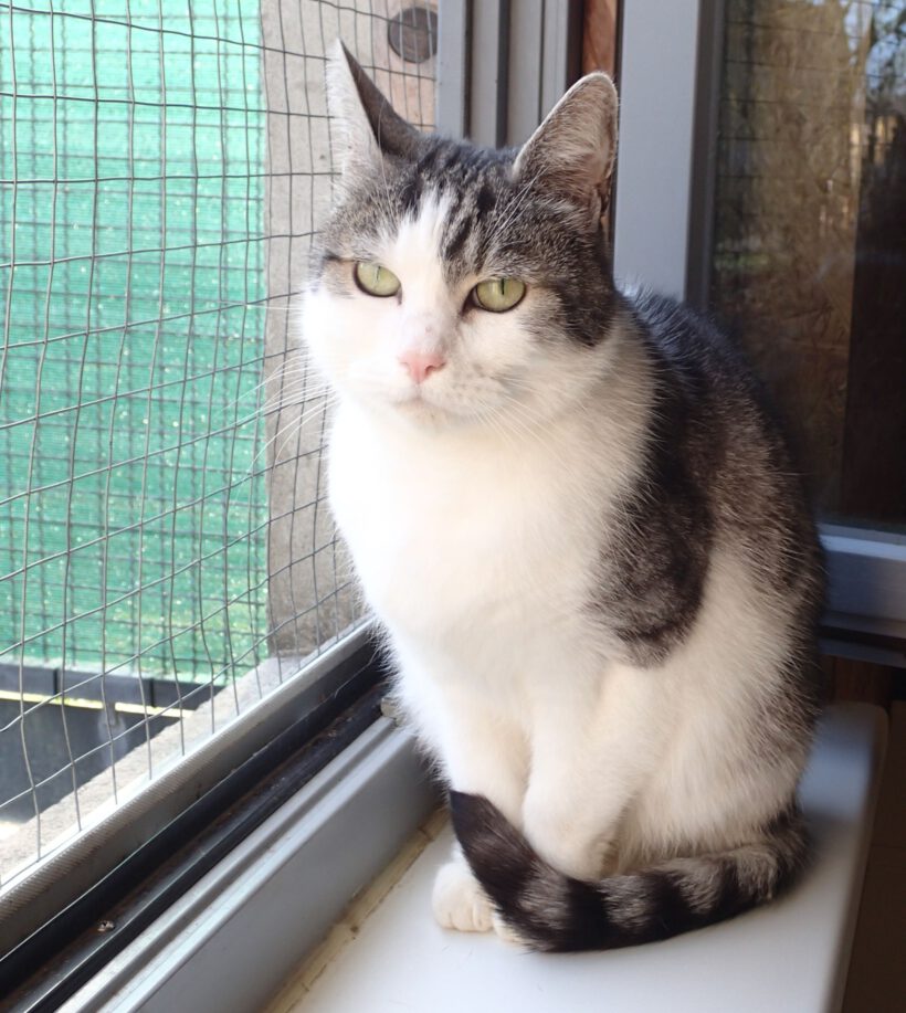 Kasimir, 12 Jahre