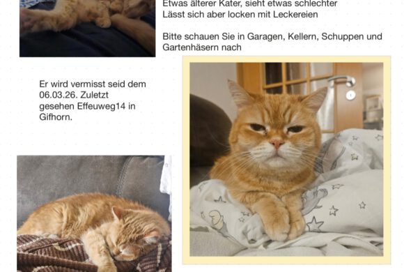 Garfield in Gifhorn vermisst