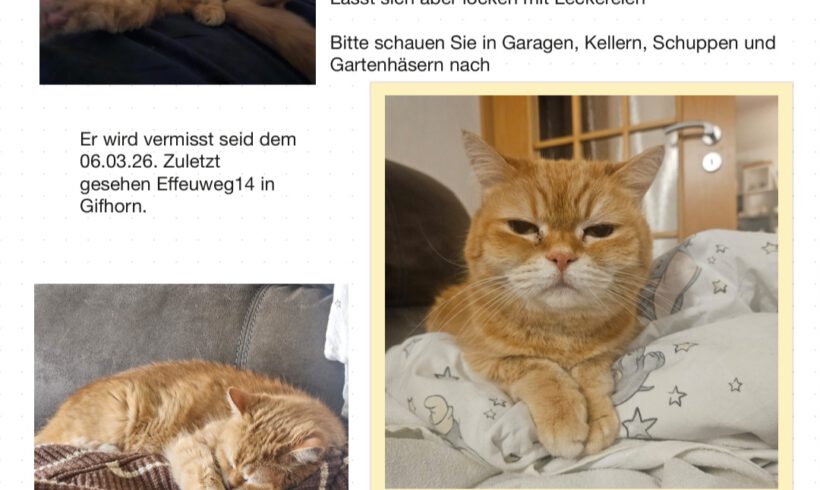 Garfield in Gifhorn vermisst