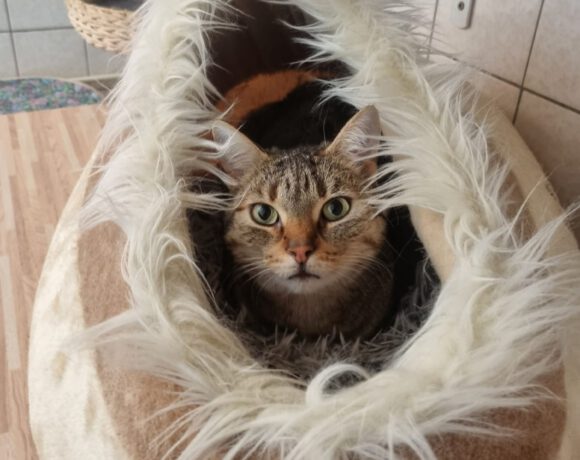 Filia, ca. 4 Jahre