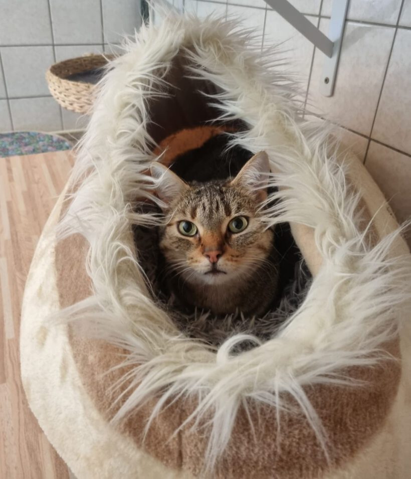 Filia, ca. 4 Jahre